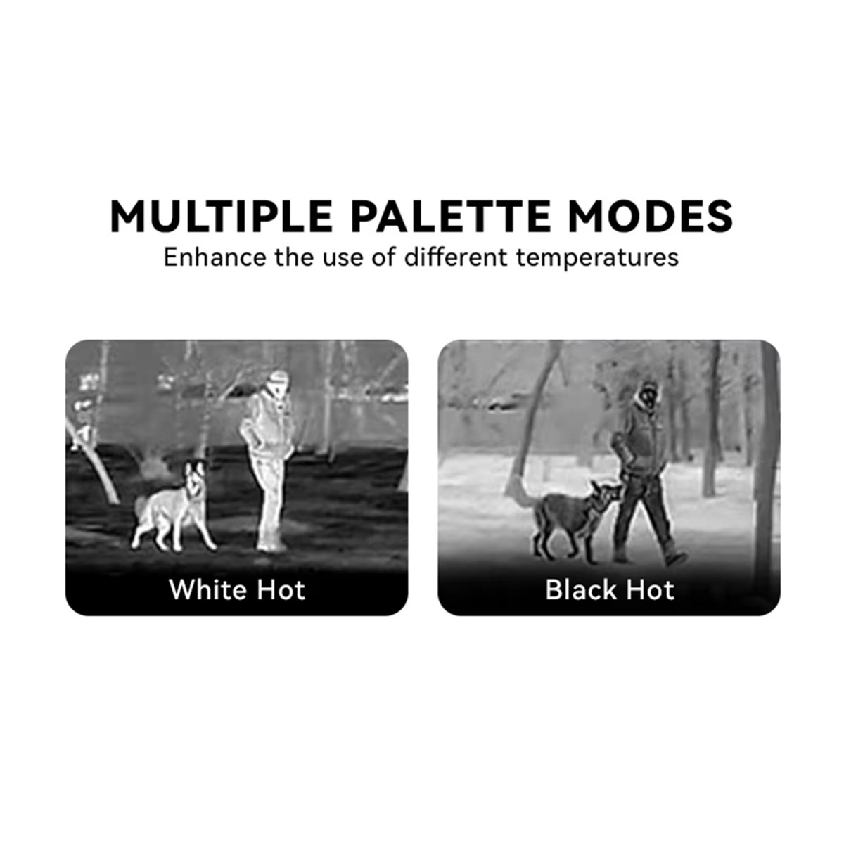 Módulo de Imagem Térmica Infra - Thermal Imaging Camera 256X192 avaliação e preço